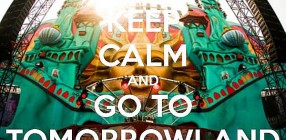 9531-16587-large